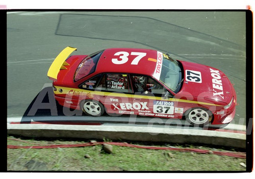 Bathurst FIA 1000 15th November 1999 - Photographer Marshall Cass - Code 99-MC-B99-1198