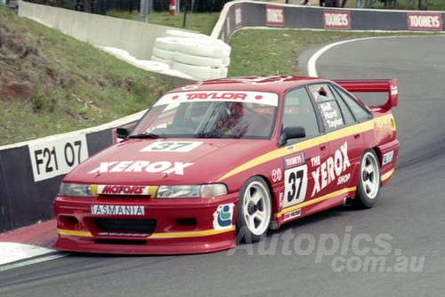 95806 - ALAN TAYLOR / ROGER HURD / STEPHEN BELL -  COMMODORE VP -  Tooheys 1000 - Bathurst 1995 - Photographer Marshall Cass