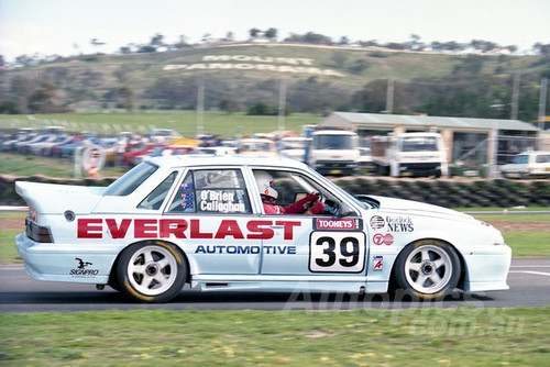 95811 - BILL O'BRIEN / BRIAN CALLAGHAN Jnr -  COMMODORE VL -  Tooheys 1000 - Bathurst 1995 - Photographer Marshall Cass