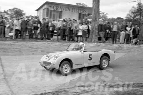 62456 - R Creelman  Austin Healey Sprite - Templestowe Hill Climb 1962 - Photographer Peter D'Abbs