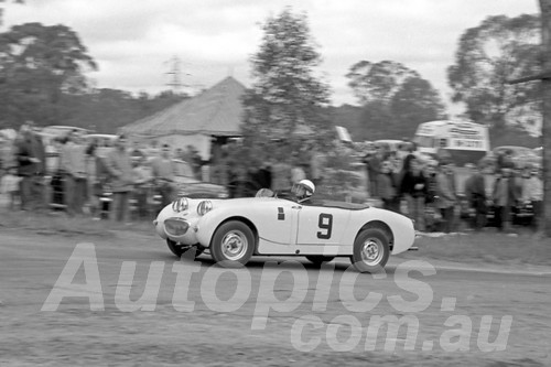 62457 - R Stockes  Austin Healey Sprite - Templestowe Hill Climb 1962 - Photographer Peter D'Abbs