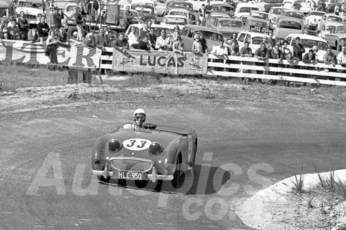 65318 - A. King  Austin Healey Sprite - Lakeland Hill Climb 1965- Photographer Peter D'Abbs