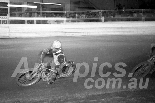 55002 - Sydney Showground Speedway - Circa 1955 -