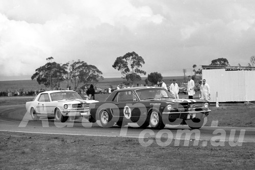 65131 - Norm Beechey & Bob Jane, Mustang - Calder 1965 - Photographer Peter D'Abbs