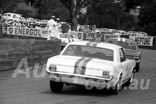 65135 - Bob Jane, Norm Beechey & Ian Geoghegan,  Ford Mustang - Catalina Park Katoomba 1965 - Photographer Lance J Ruting