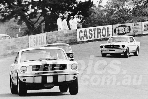 65322 - Ian (Pete) Geoghegean, Norm Beechey & Bob Jane, Mustangs - Catalina 1965