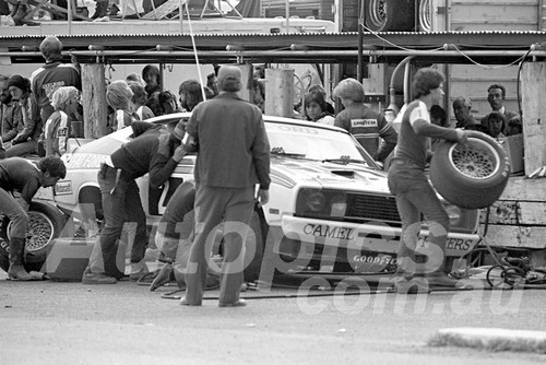 77171 - Colin Bond, Falcon - Sandown - 11th September 1977 - Photographer Peter D'Abbs