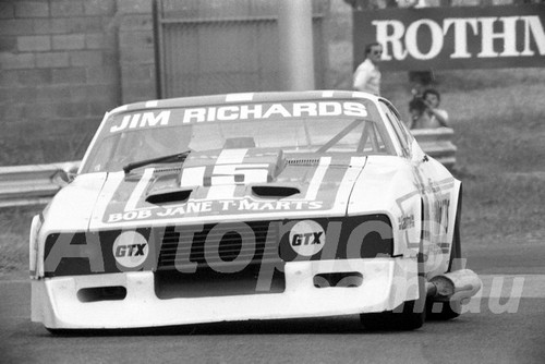 81140 - Jim Richards, Falcon - Sandown 1981 - Photographer Peter D'Abbs