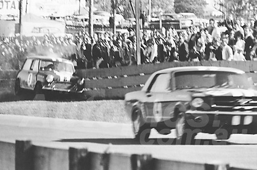 65333 - Peter Manton into the fence at Homestead Corner Warwick Farm 1966 - Photographer Lance J Ruting