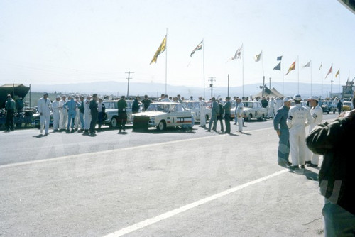 65817 - The starting grid for the Bathurst Armstrong 500 - 1965