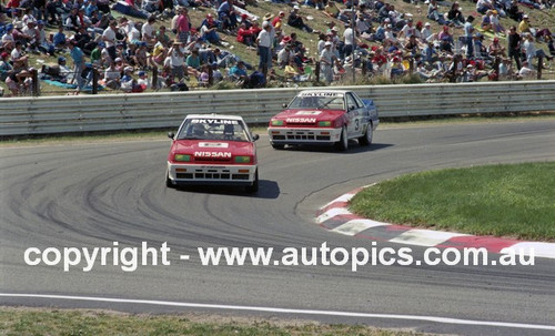89912  -  J. Richards / M. Skaife    Bathurst 1989  3rd Outright  Nissan Skyline, Photographer Ian Reynolds