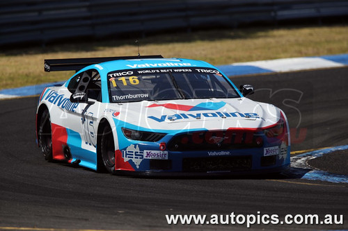 24SA02JS8010 - Sandown International Motor Raceway, Speed Series Round One, Trico Trans Am Series, Ford Mustang - SANDOWN ,  2024