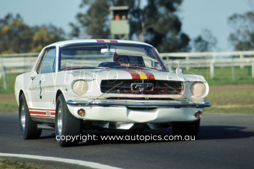 65057 - Bob Jane, Ford Mustang V8, Warwick Farm, 1965