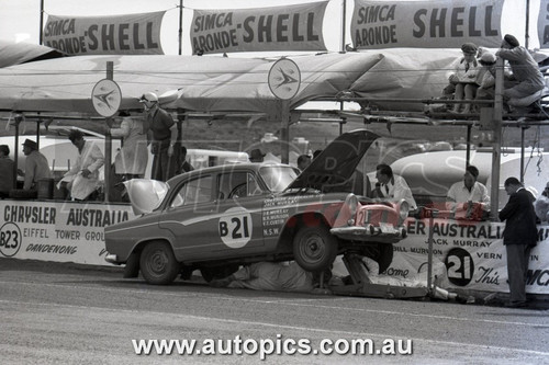 60PI11UK7186 - Jack Murray & Bill Murison & Vern Curtin - Armstrong 500, Phillip Island, 1960, Simca Aronde