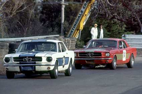 84803 - D. OBrien & J. Virgo Ford Mustang  - Sandown 1984