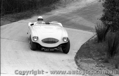 58425 - J. Cleary Austin Healey 100S -  Templestowe 10th August 1958