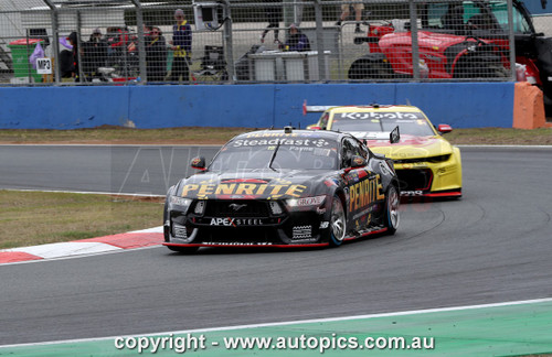 25QR08JS7034 - Matthew Payne, CENTURY BATTERIES IPSWICH SUPER 440, QUEENSLAND RACEWAY IPSWICH, 2025,  Ford Mustang GT - Photographer James Smith