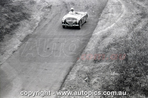 57TH11PD4502 - Templestowe Hill Climb, Templestowe, Victoria, November, 1957 - Photographer Peter D'Abbs 