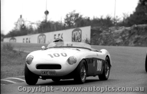 82802 - Ray Roberts Austin Healey 100S - Amaroo Park 31st January 1982