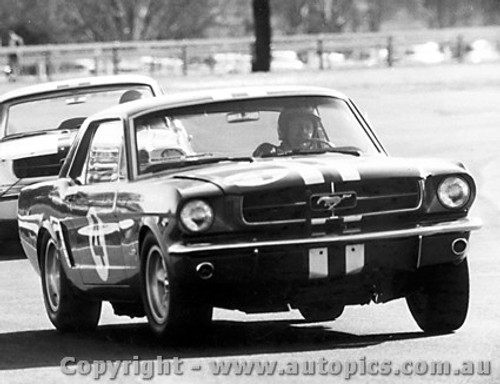 65070 - Norm Beechey / Bob Jane  Ford Mustang  Warwick Farm 17th July 1965 - Photographer Lance Ruting