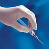 BD 381701 Angiocath Autoguard shielded IV catheter 22 G x 1.00 in. Case of 200