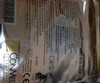 410-2200 Conmed SureFit Dual Dispersive Electrode Without Cable