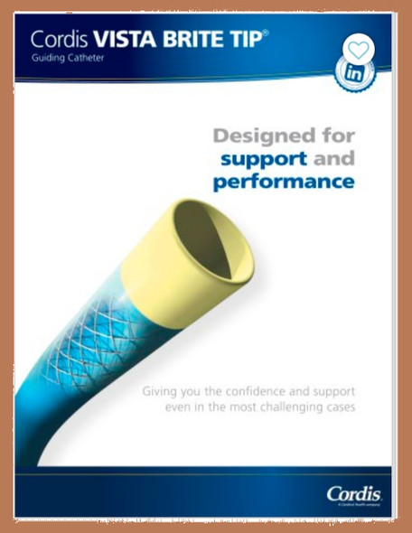 Cordis 588870, VISTA BRITE TIP®, AL 1 ST PTFE Nylon Guiding Catheter, 100CM, 8FR, box of 1
