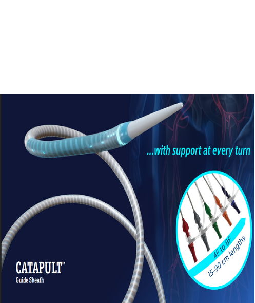 Boston Scientific US-36015-F-ST-H CATAPULT™ Guide Sheath, 6Fr X 15cm Straight. Box of 05