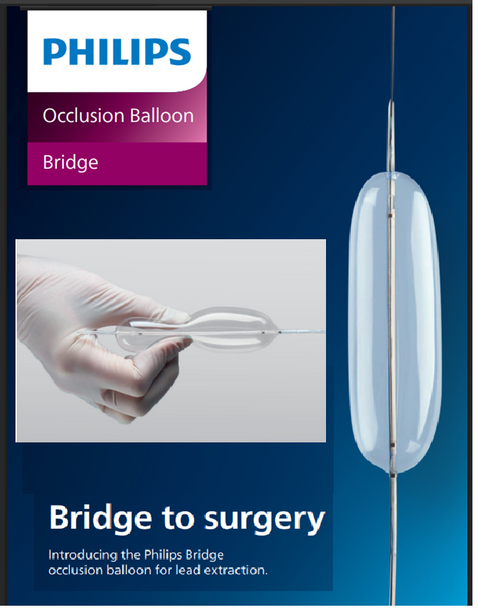 Philips 590-001 Bridge Occlusion Balloon Catheter