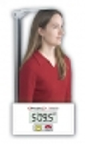 Detecto DHRWM Stand-Alone Wall-Mount Digital Height Rods. e/a.