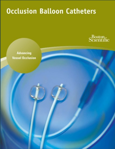 Boston Scientific 17301 Occlusion Balloon Catheter , M001173010, Berenstein Occlusion Balloons, 6 Fr X 80cm, 0.038 Recommended Guidewire. Box of 01