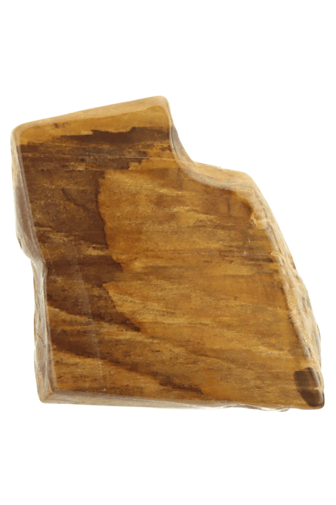 Petrified Wood

Lore: Calming, ancestral DNA, grounding, strength, and support