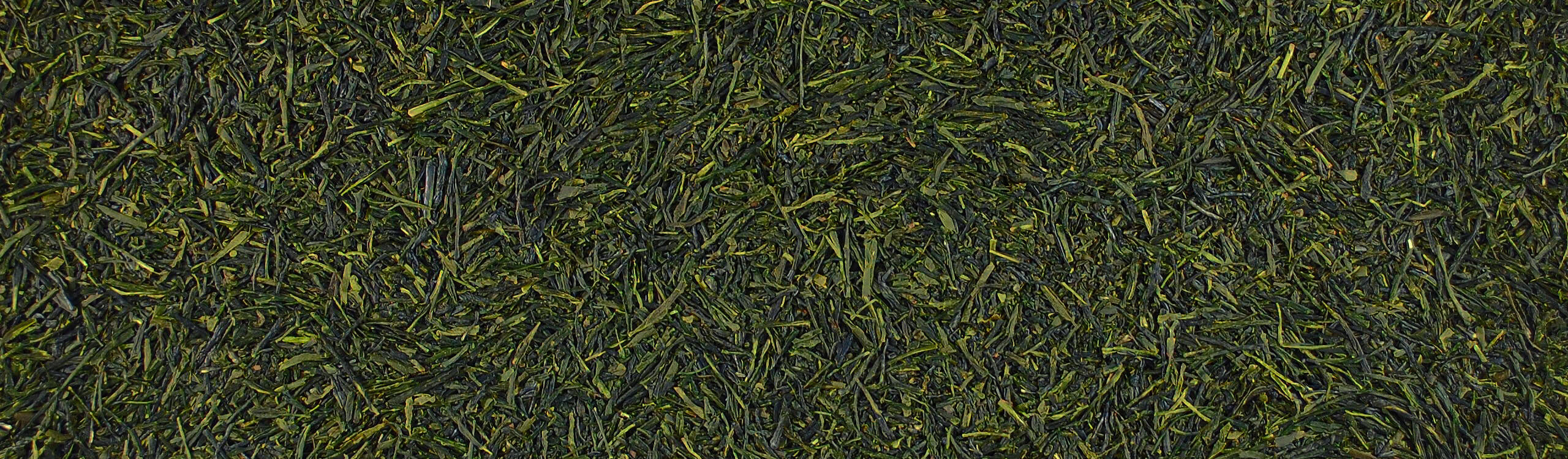 Organic Green Tea Samplers