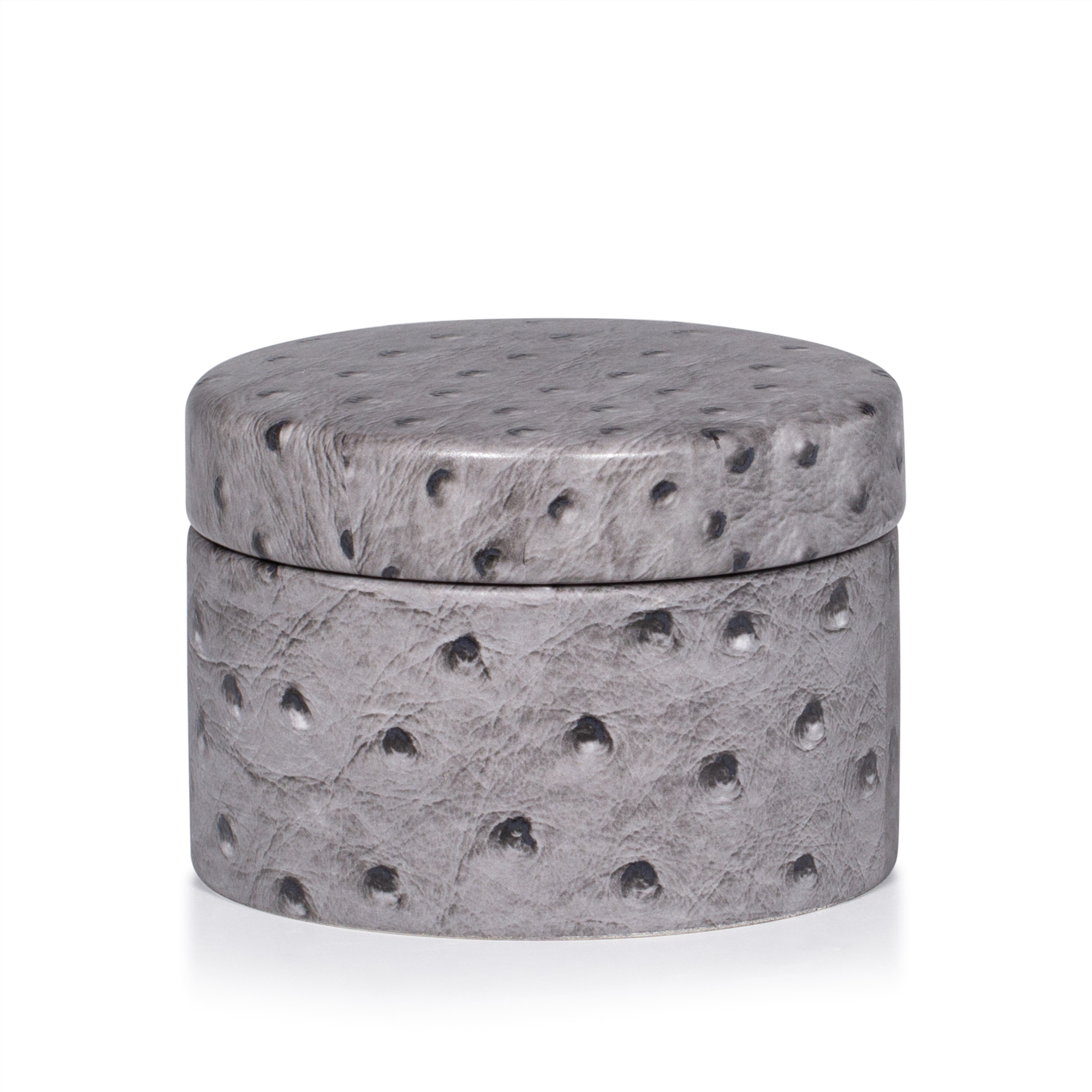 Struzzo Gray Canister