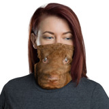 Neck Gaiter Chesapeake Bay retriever puppy Dennis Glennon Photography