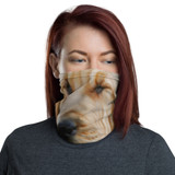 Neck Gaiter Bloodhound puppy Dennis Glennon Photography