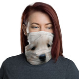 Neck Gaiter Golden Retreiver Puppy Dennis Glennon Photography
