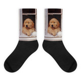 Socks Buddy's Magic Window Original Image Golden Retriever puppy from Dennis Glennon Photography