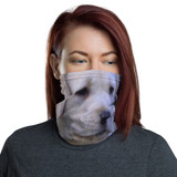 Neck Gaiter Yellow Labrador Puppy Dennis Glennon Photography