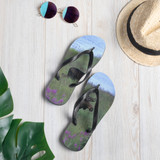 Flip-Flops Bull Moose Summertime Katmai Alaska Dennis Glennon Photography