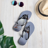 Flip-Flops Atlantic Puffin Pair Maine Dennis Glennon Photography