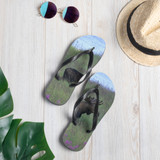 Flip-Flops Bull Moose Katmai Alaska Dennis Glennon Photography
