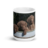  15oz - Coffee Mug - Chesapeake Bay Retriever Puppy  Dennis Glennon Photography