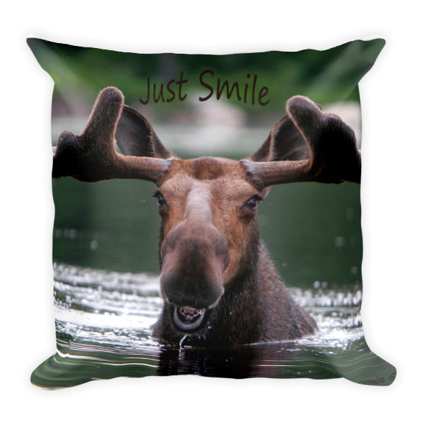 "Smiling Moose"  Square Double Sided Decorative Pillow "Just Smile" Collection - Dennis' Secret Spot, Maine