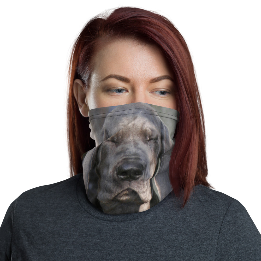 Neck Gaiter Great Dane Puppy Dennis Glennon Photography
