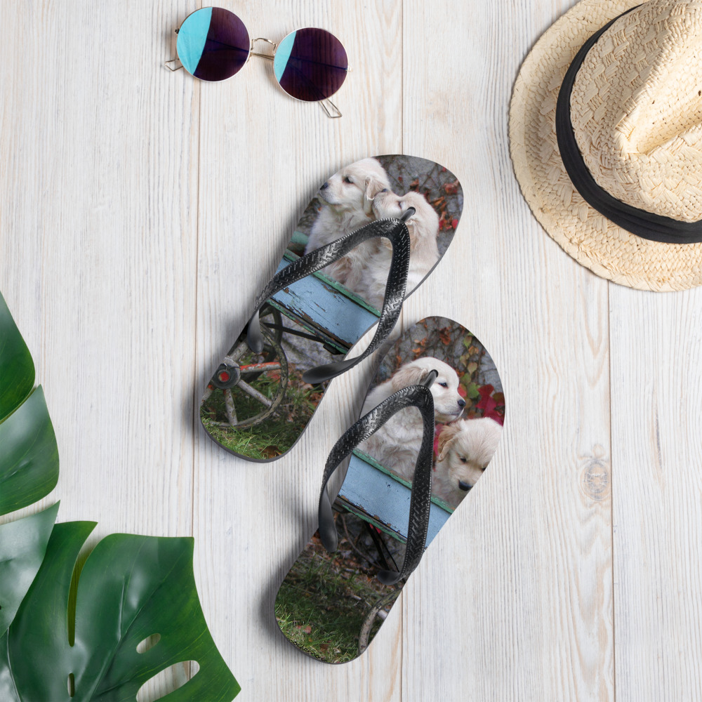 Flip-Flops Golden Retriever Puppy Cart Photo by Dennis Glennon Photography