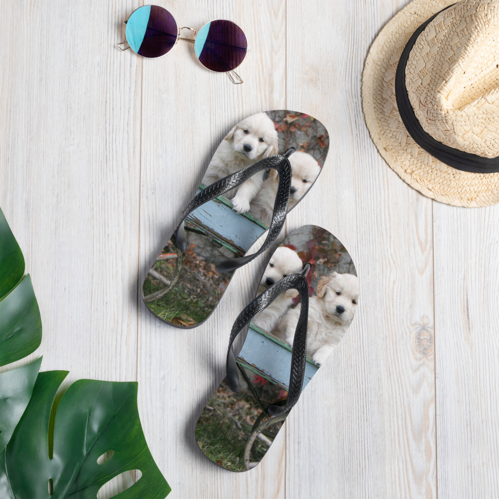 Flip-Flops Golden Retriever Puppy's in a Rustic Wagon Dennis Glennon photography