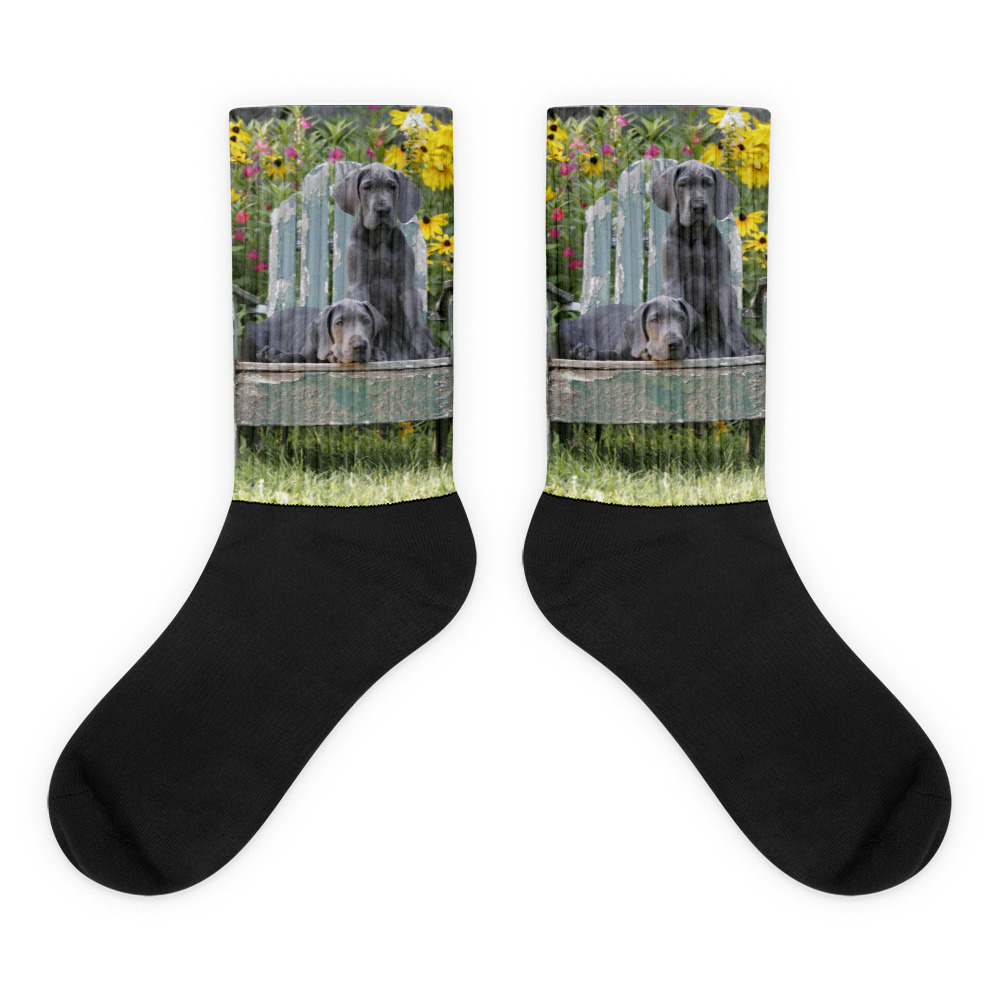 Crew Socks Great Dane Puppies in Adirondack Chair Springtime Dennis Glennon Photography