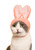 Rabbit Cat Cap blind box