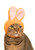 Rabbit Cat Cap blind box